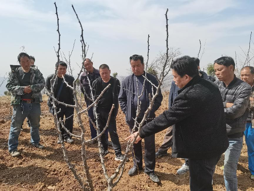 扶貧工作動(dòng)態(tài)(第132期)