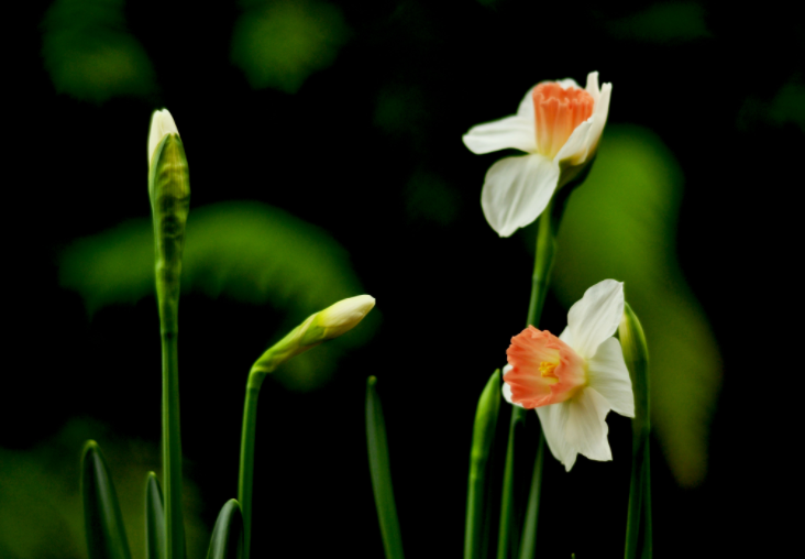 大家都做生態(tài)文明建設(shè)的實(shí)踐者、推動者（生態(tài)論苑）