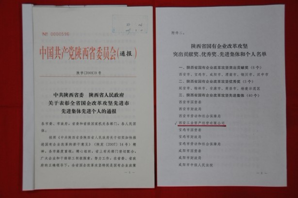 2009年2月，被陜西省委、省政府授予陜西省國有企業改革攻堅先進集體