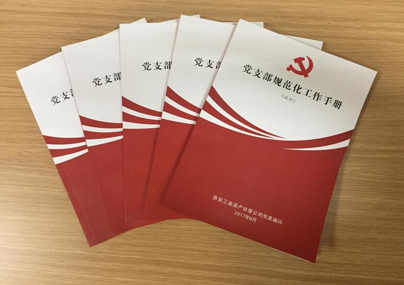 公司黨委著力推進基層黨建工作系列報道(之四)