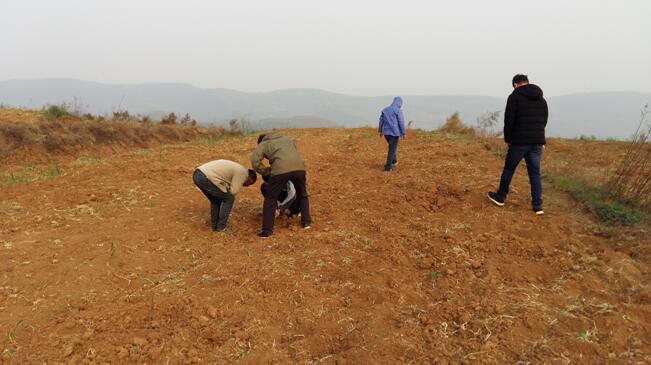 1555296611479804.jpg 1555296611479804.jpg