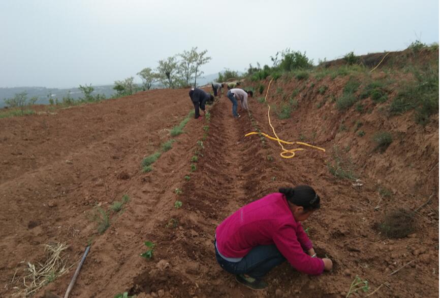 1557473498997261.jpg 1557473498997261.jpg