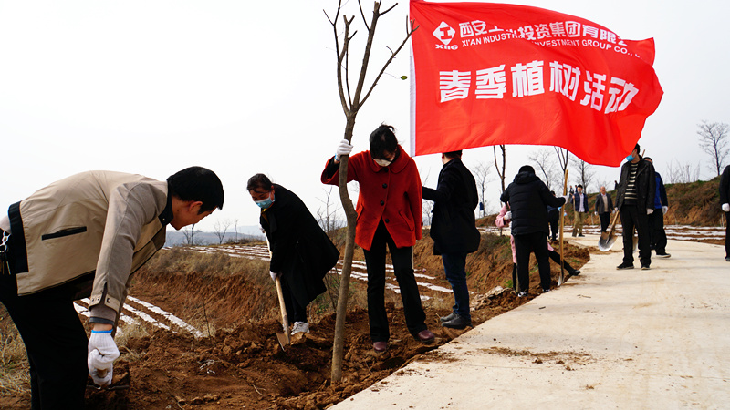 1584088144856332.jpg 彩旗_副本.jpg